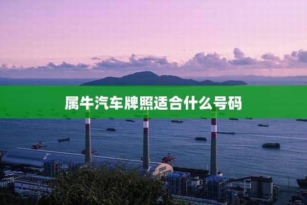 属牛汽车牌照适合什么号码