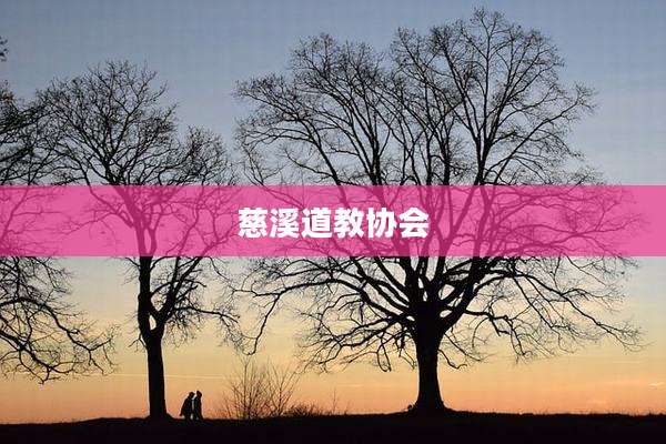 慈溪道教协会