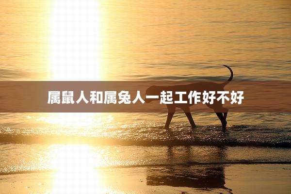 属鼠人和属兔人一起工作好不好
