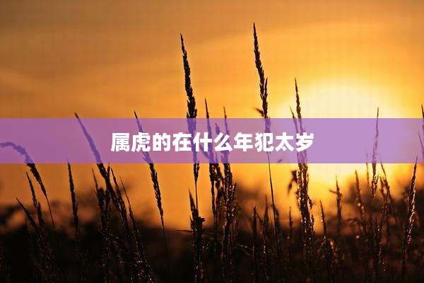 属虎的在什么年犯太岁