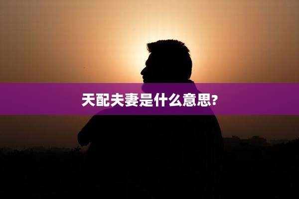 天配夫妻是什么意思?