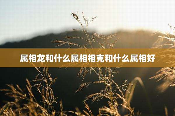 属相龙和什么属相相克和什么属相好