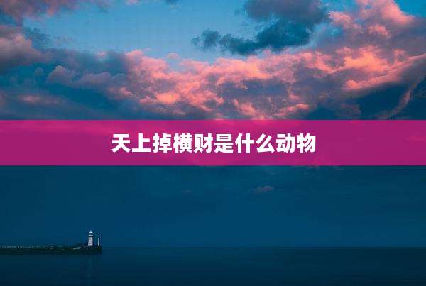 天上掉横财是什么动物