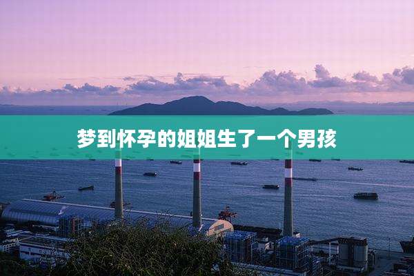 梦到怀孕的姐姐生了一个男孩
