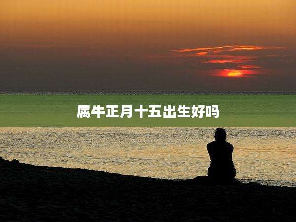 属牛正月十五出生好吗