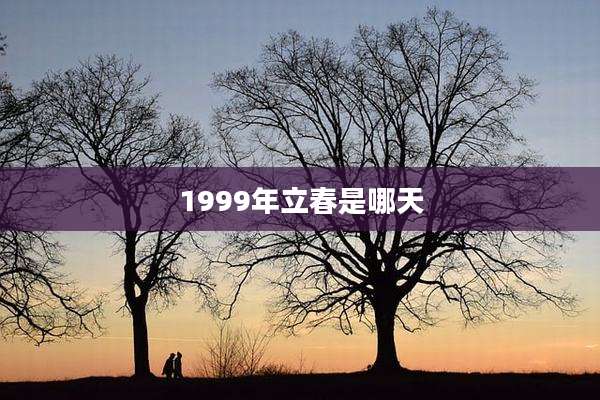 1999年立春是哪天