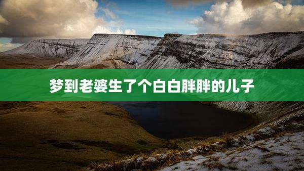 梦到老婆生了个白白胖胖的儿子