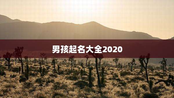 男孩起名大全2020
