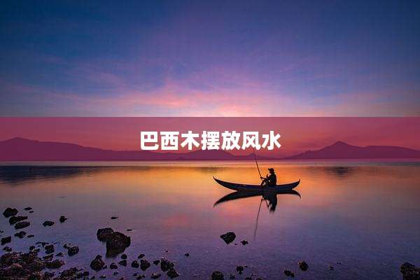 巴西木摆放风水