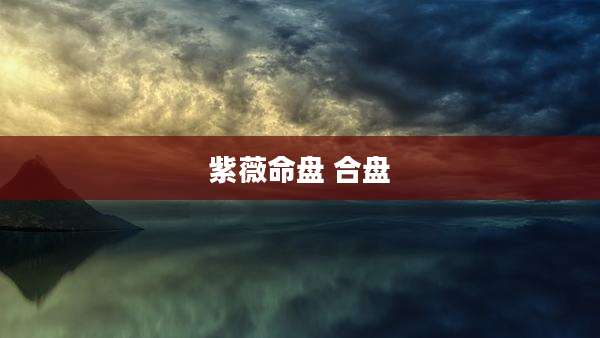 紫薇命盘 合盘