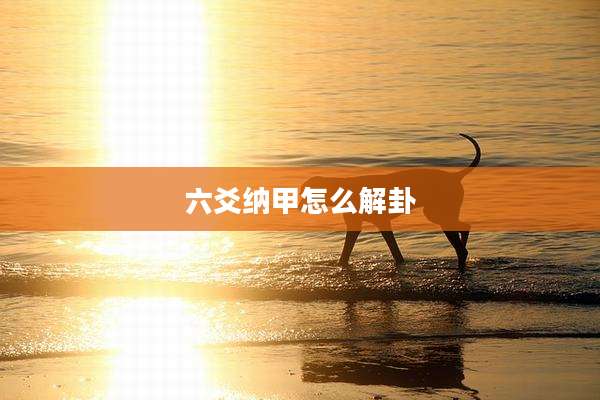六爻纳甲怎么解卦