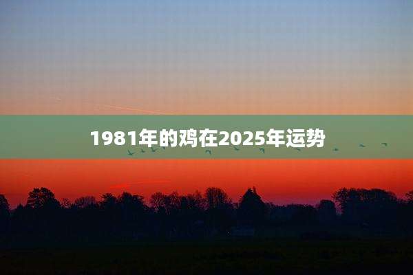 1981年的鸡在2025年运势