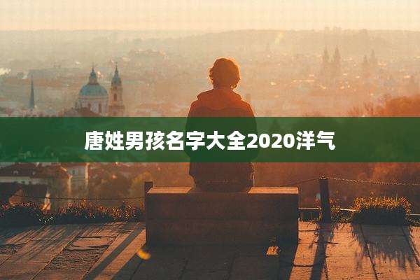 唐姓男孩名字大全2020洋气