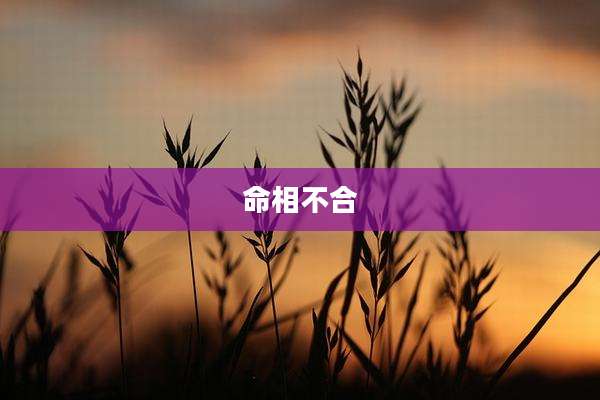 命相不合