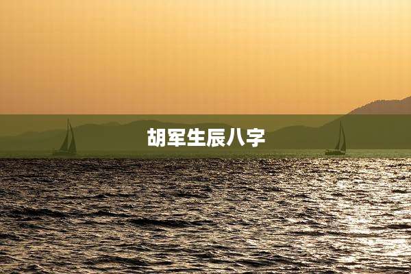 胡军生辰八字