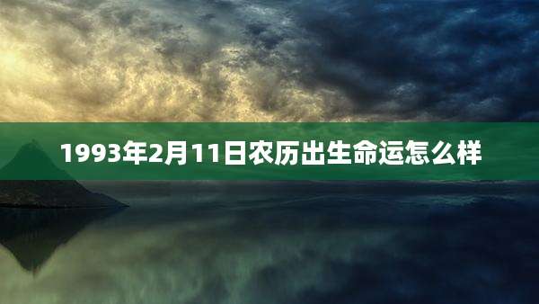 1993年2月11日农历出生命运怎么样