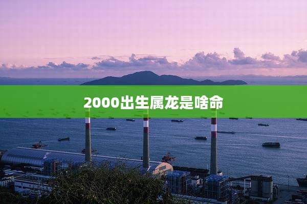 2000出生属龙是啥命