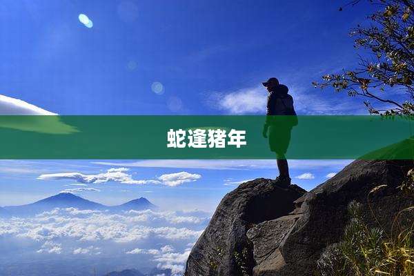 蛇逢猪年
