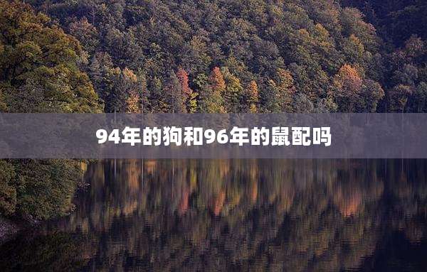 94年的狗和96年的鼠配吗