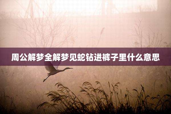 周公解梦全解梦见蛇钻进裤子里什么意思