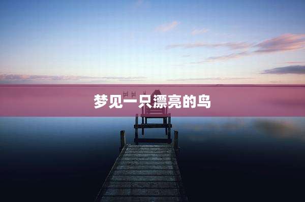 梦见一只漂亮的鸟