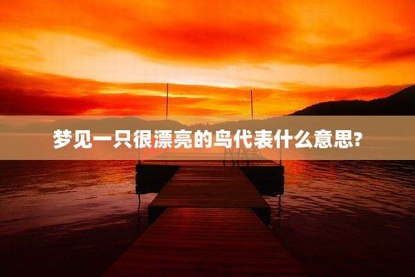 梦见一只很漂亮的鸟代表什么意思?