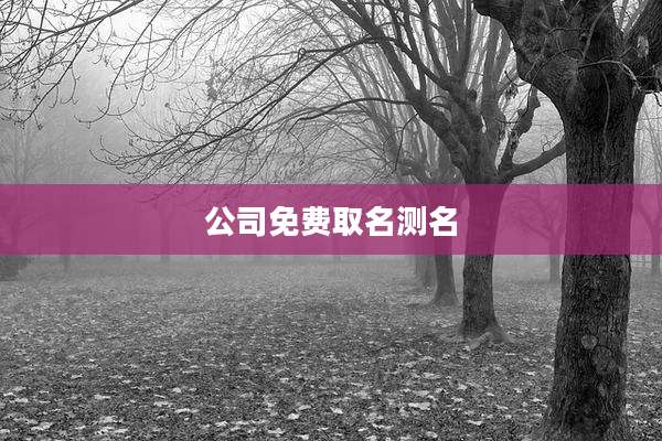公司免费取名测名