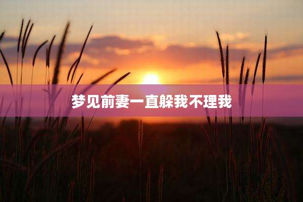 梦见前妻一直躲我不理我