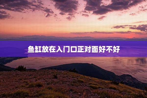 鱼缸放在入门口正对面好不好