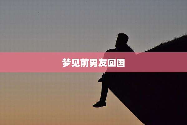 梦见前男友回国