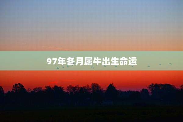 97年冬月属牛出生命运