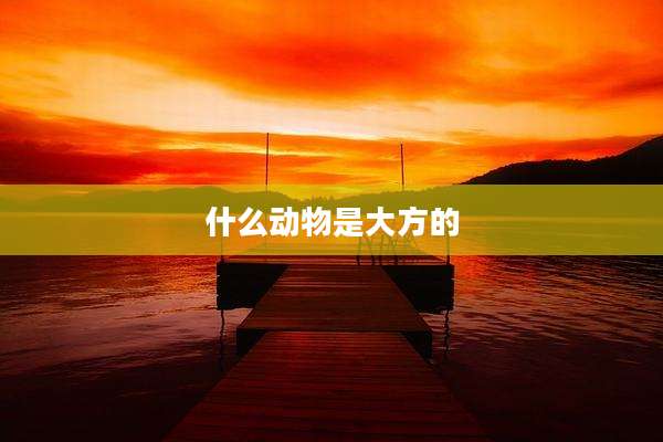 什么动物是大方的
