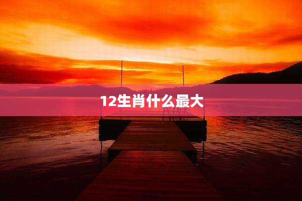 12生肖什么最大