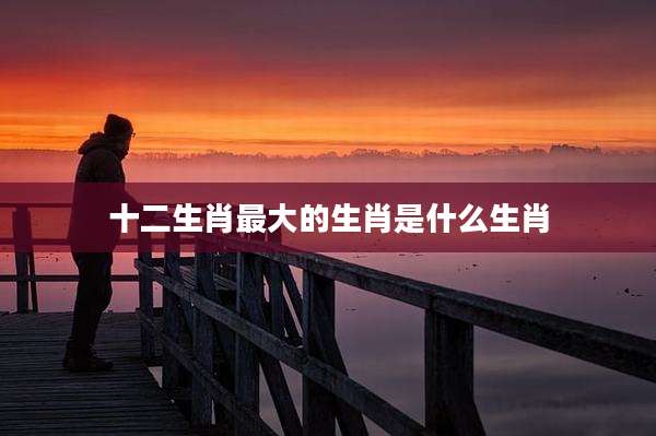 十二生肖最大的生肖是什么生肖