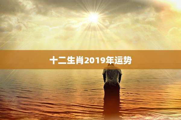 十二生肖2019年运势