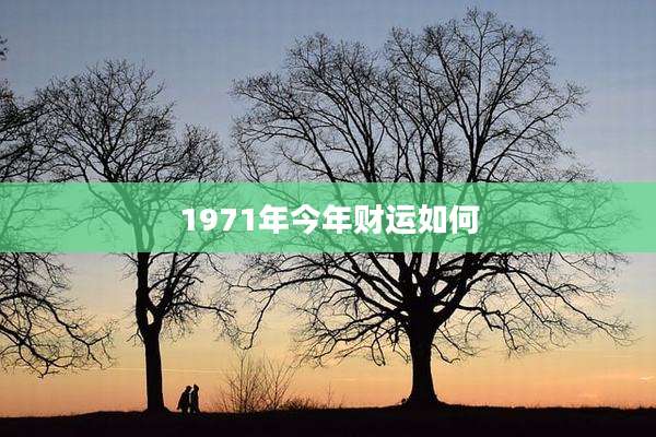 1971年今年财运如何