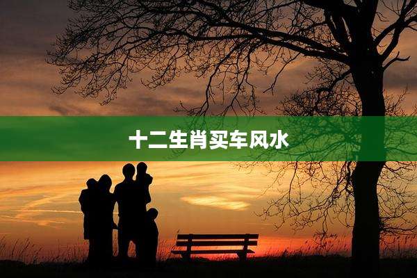 十二生肖买车风水