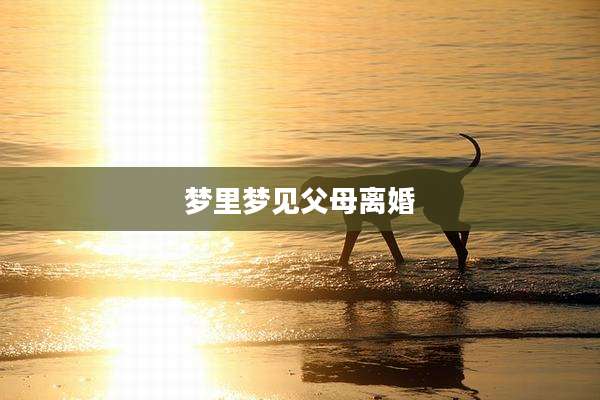 梦里梦见父母离婚