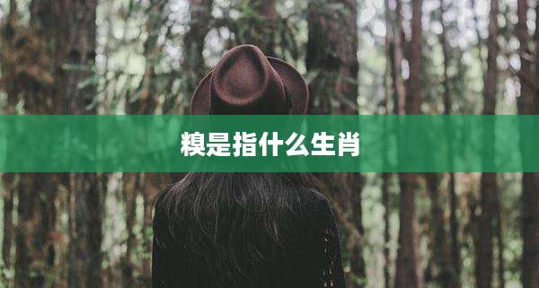 糗是指什么生肖