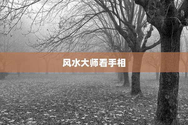 风水大师看手相
