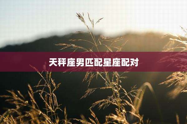 天秤座男匹配星座配对