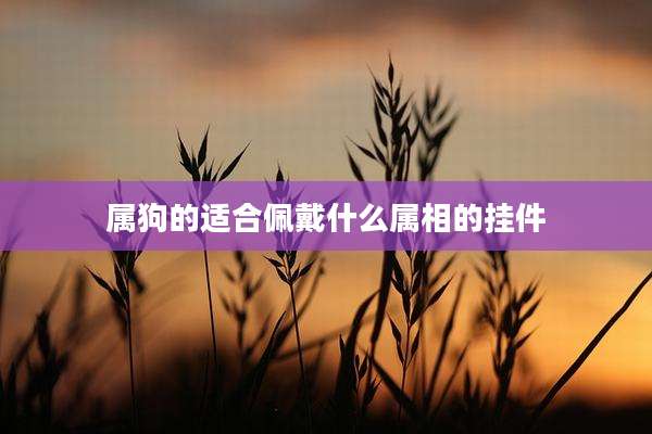 属狗的适合佩戴什么属相的挂件