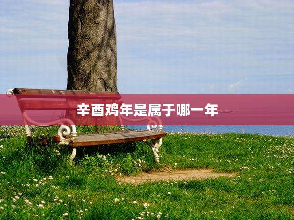 辛酉鸡年是属于哪一年
