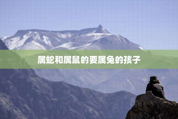 属蛇和属鼠的要属兔的孩子