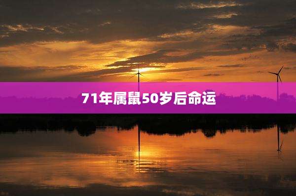 71年属鼠50岁后命运