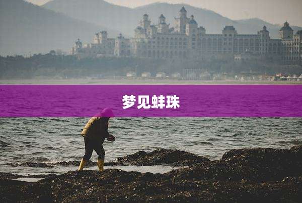 梦见蚌珠