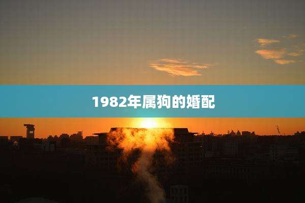 1982年属狗的婚配