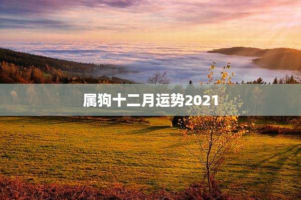 属狗十二月运势2021