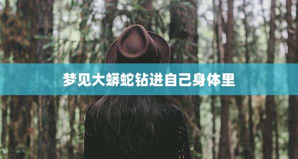 梦见大蟒蛇钻进自己身体里