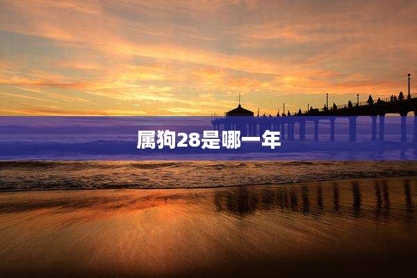 属狗28是哪一年